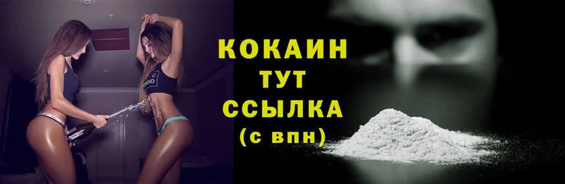 Cocaine Эквадор  купить наркотики цена  Будённовск 